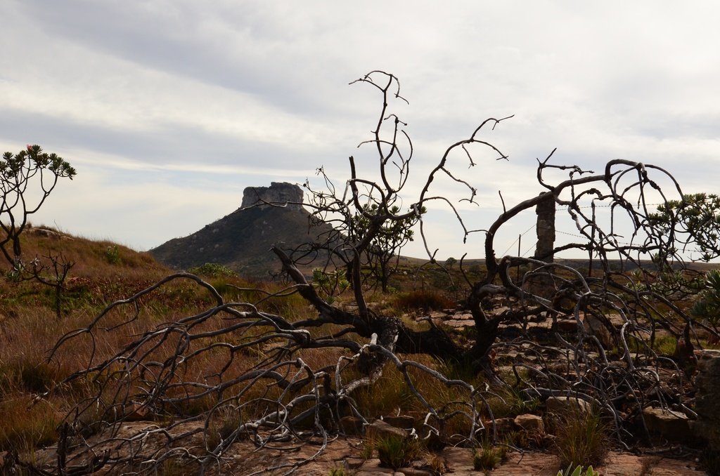 2015-05 South Africa/Drakensburg/DSC_0132.JPG